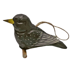Vogel Star