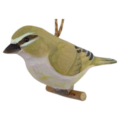 Vogel Zilpzalp