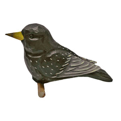 Vogel Star