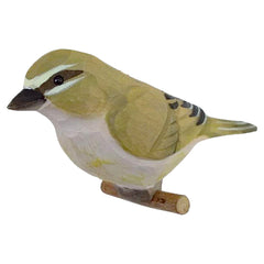 Vogel Zilpzalp