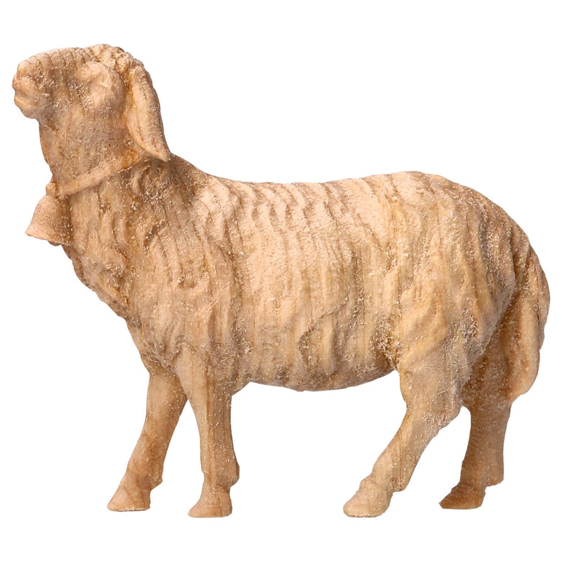 Schaf geradeaus schauend mit Glocke aus Zirbenholz, Krippenfiguren "Berg Zirbe"