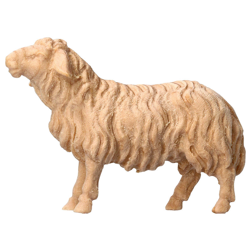 Schaf geradeaus schauend aus Zirbenholz, Krippenfiguren "Berg Zirbe"
