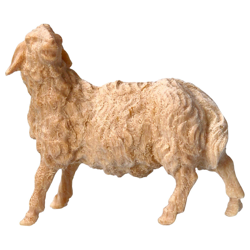 Schaf links schauend aus Zirbenholz, Krippenfiguren "Berg Zirbe"
