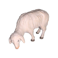 Schaf grasend Nr. 56 aus Ahornholz, Krippenfiguren 